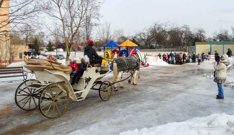 Как в сельском поселении Ершовское зиму 2015 провожали.  Фоторепортаж 86