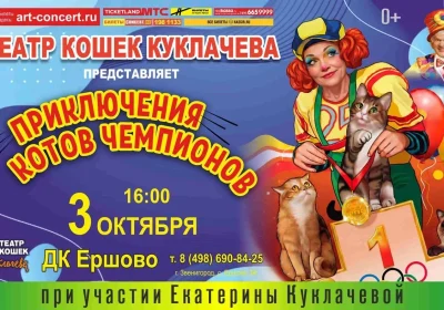 ВСЕ КОШКИ В ЕРШОВО